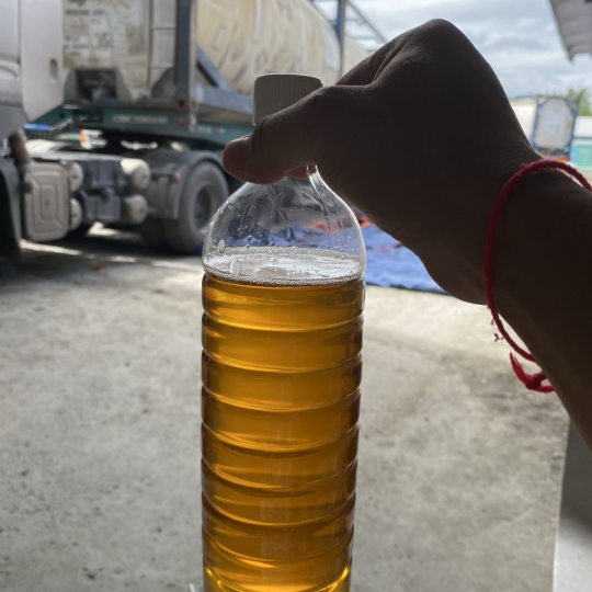 CRUDE COCONUT OIL (CCO)